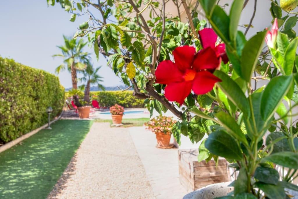 L57 Vineyard & Nature Swimingpool 3 Bdr Parking Ac Villa Nizza
